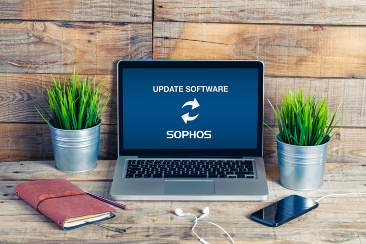SOPHOS Firewall: Updates lösen Sicherheitslücke